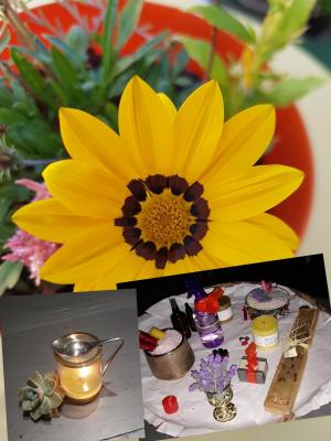 Plain Essential Oils