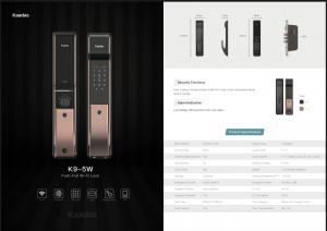 Smart Lock ( K9-5W push-pull Lock )