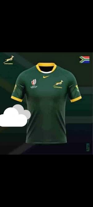 rugby springbok Tshirt