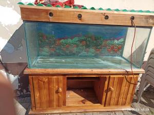 Fish tank with cabinet