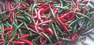 chilies