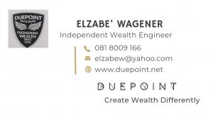 Wealth Engineer