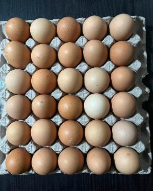 Xtra Large Farm Eggs