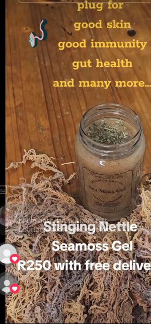 stinging nettle and ginger infused seamoss gel