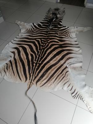 Zebra leather rug