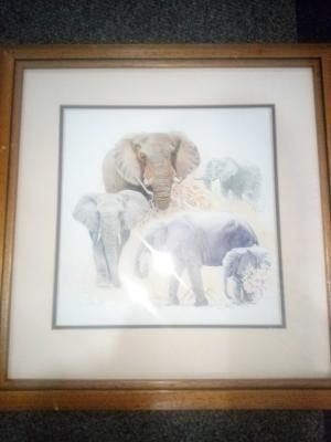 South Africa Big 5 paintings