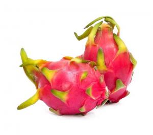 Dragonfruit plants