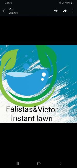 FALISTAS INSTANT LAWN