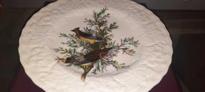 Alfred Meakin Plate #43