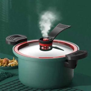 micro pressure cooker