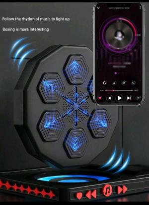 Black Wall Mounted Punching Target