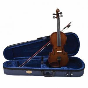 Student violin