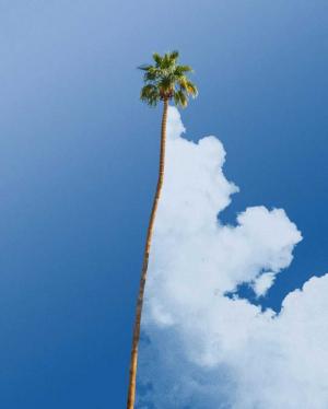 Samsung Galaxy J4 Core