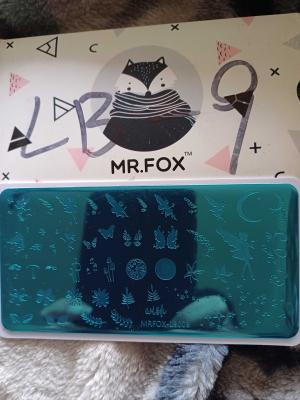 Mr Fox fairy nail stamping plate