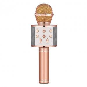 MICROPHONE SPEAKER