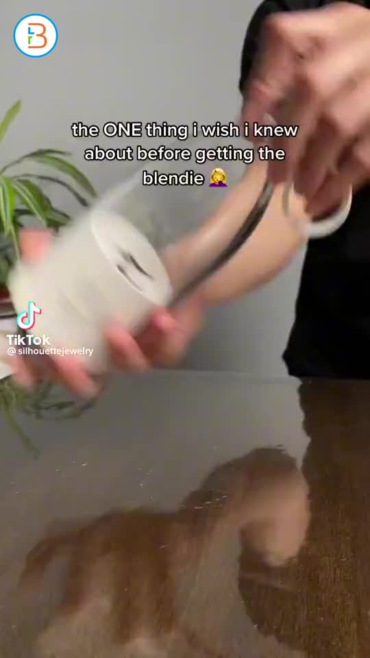 affordable mini juicer