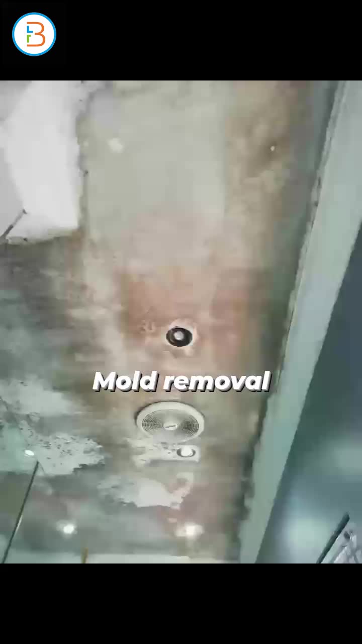 Mould removal from indoor bathroom / walls contact 068 533 4420 for more information