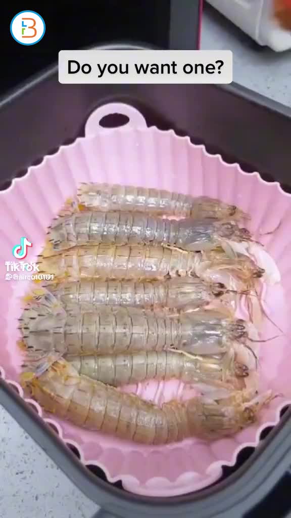 R35
airfryer silicone