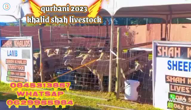 qurbani 2023