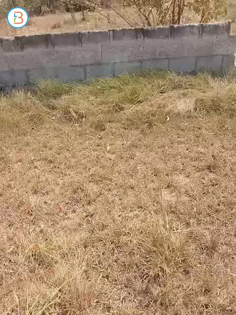 4 plots of land for sale at odowa Accra Ghana