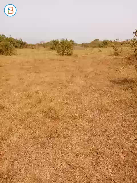 4 plots of land for sales at Accra Ghana