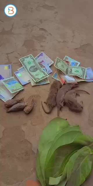 The best powerful spiritual herbalist in Nigeria +2349137913351