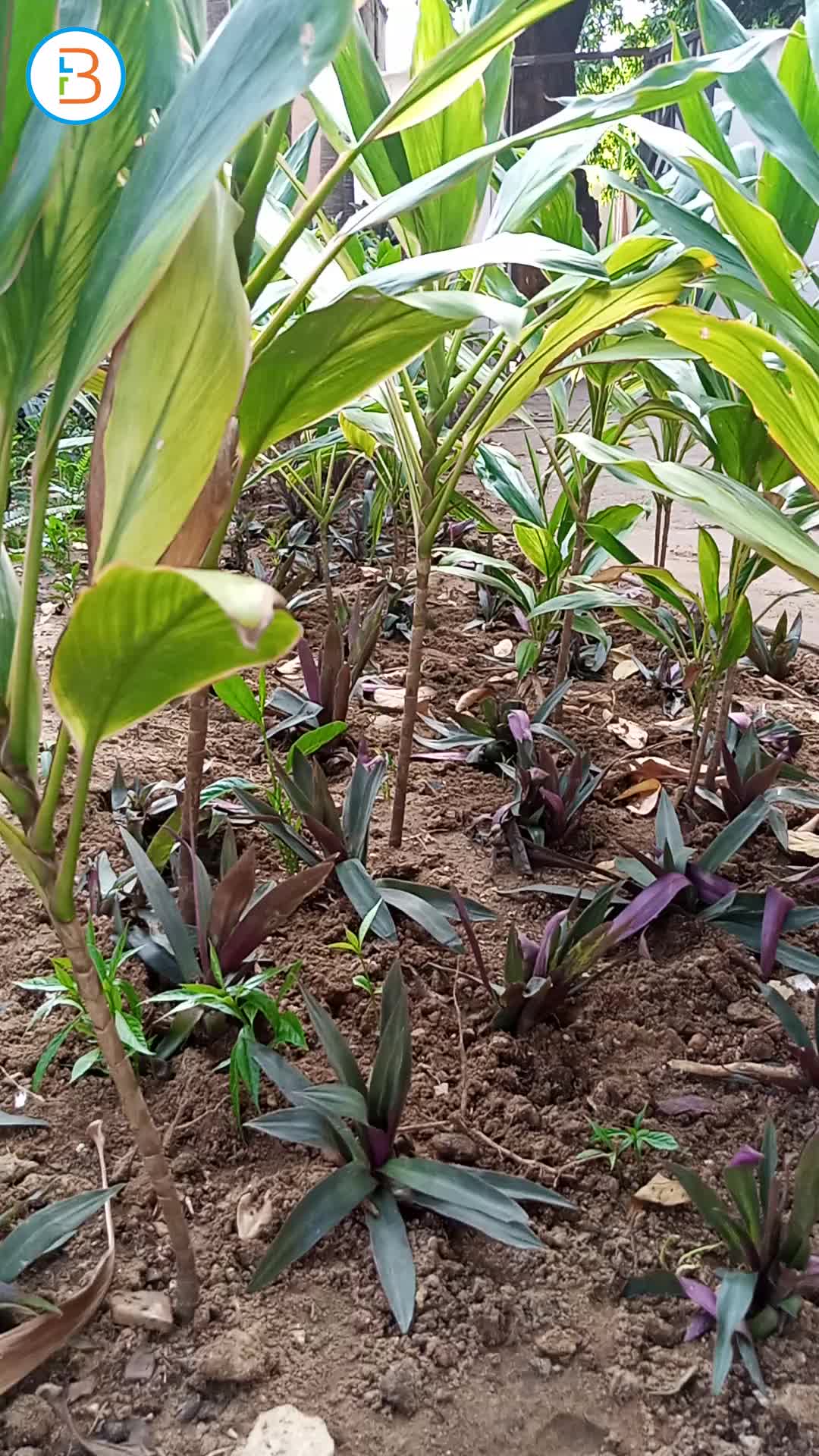 Landscaping Services Services E T c