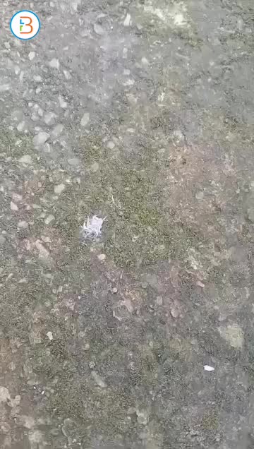 Blue Sapphire heavy-duty cleaner