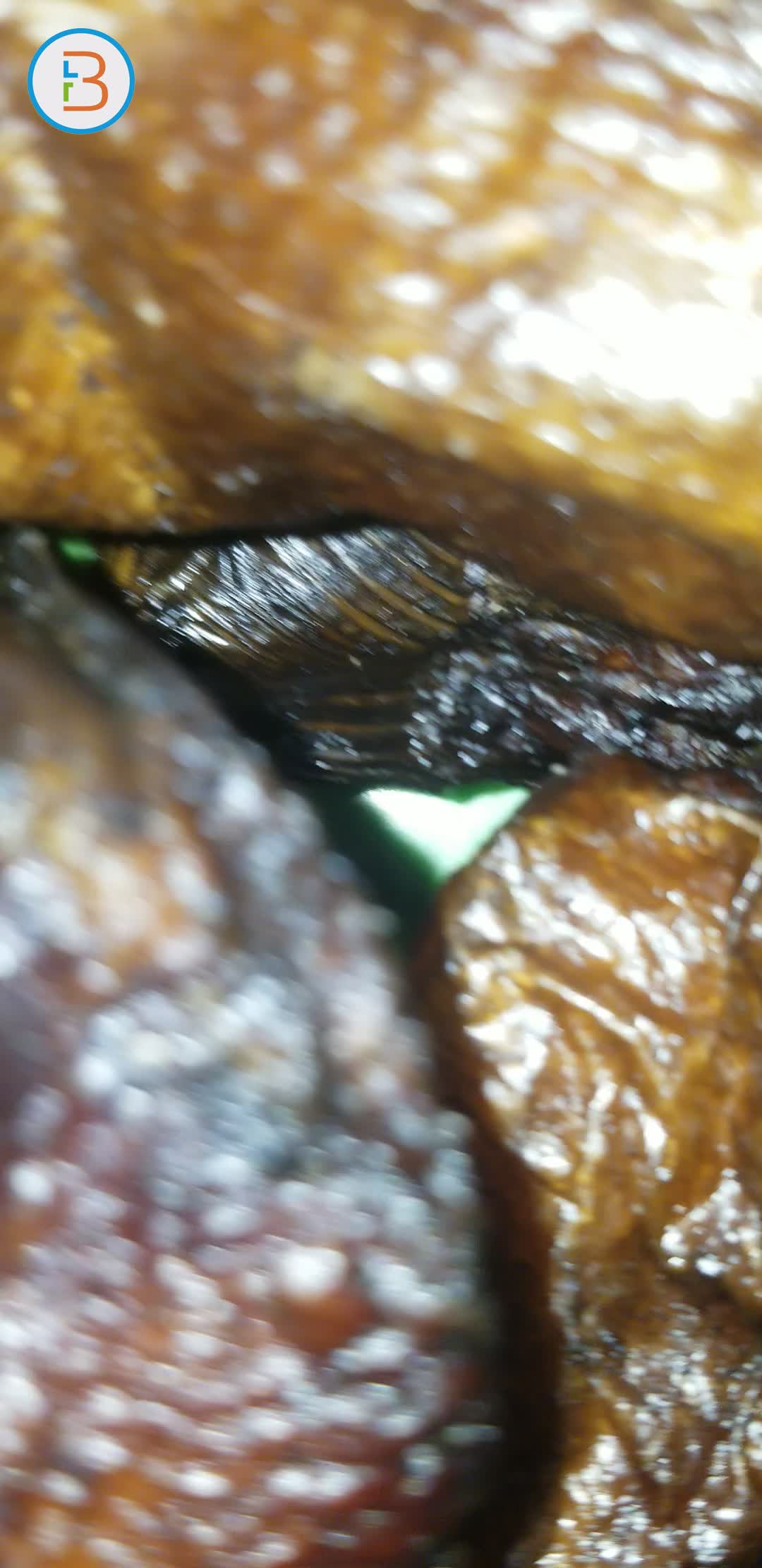 Asa fish cutlet 
AKA the odogwu of all fishes