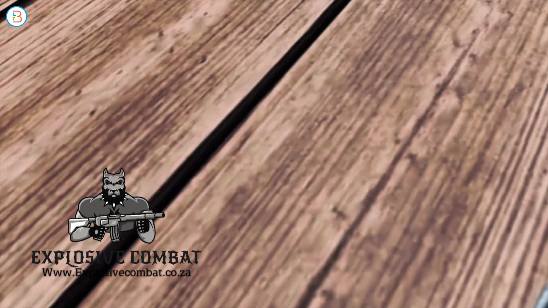 blank firing pistols