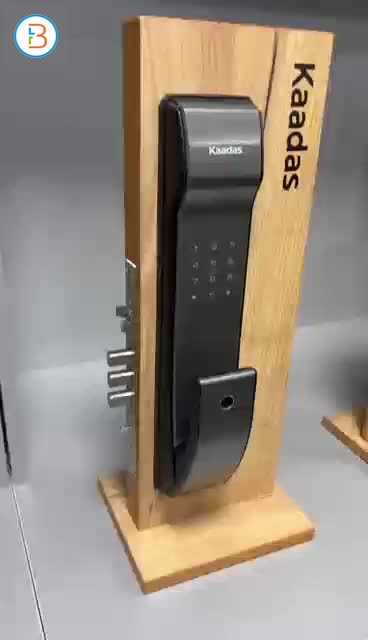 Smart Lock ( K9 push-pull Lock )