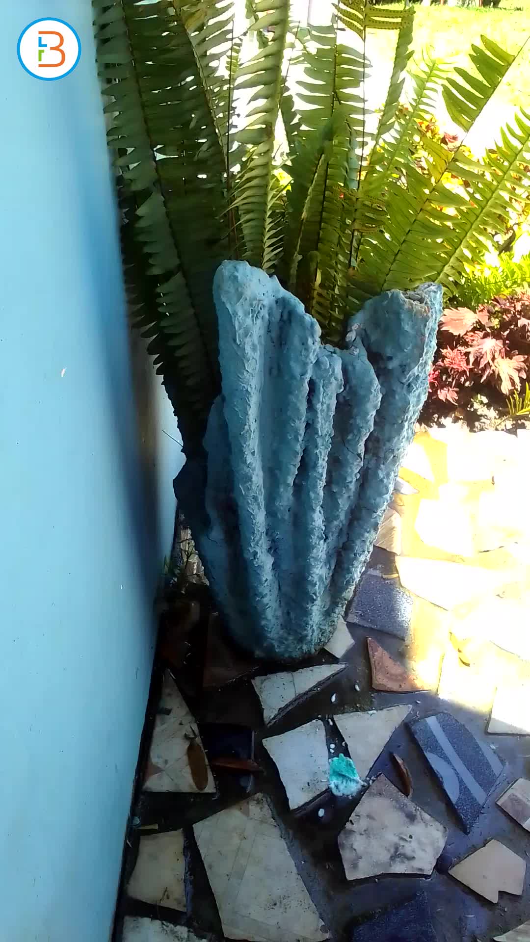 one of our best pots plants