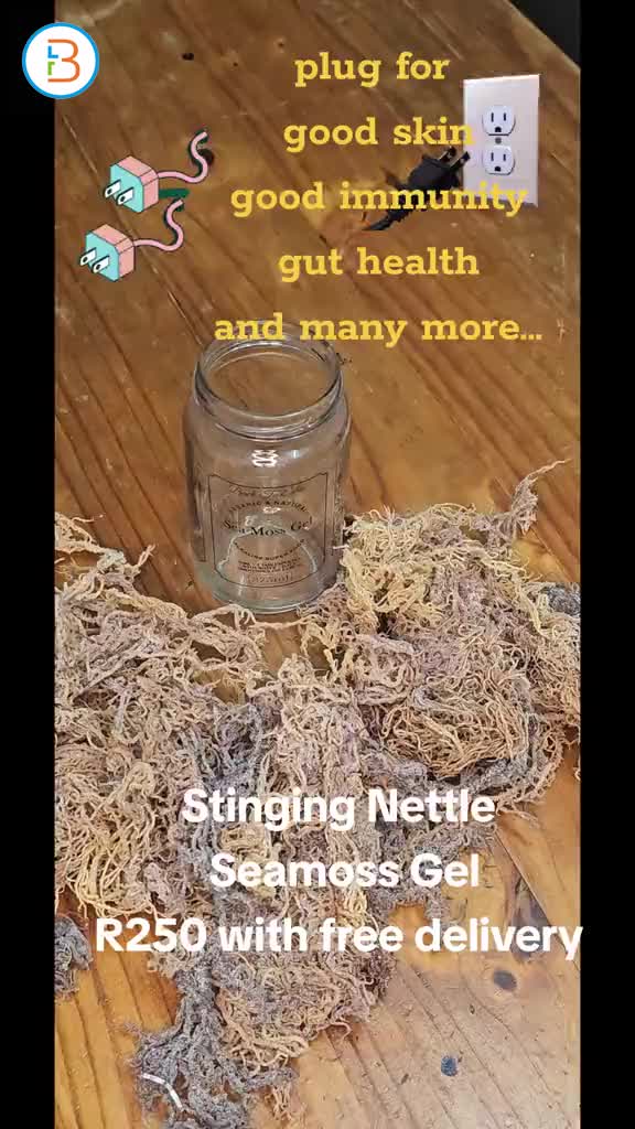 stinging nettle and ginger infused seamoss gel