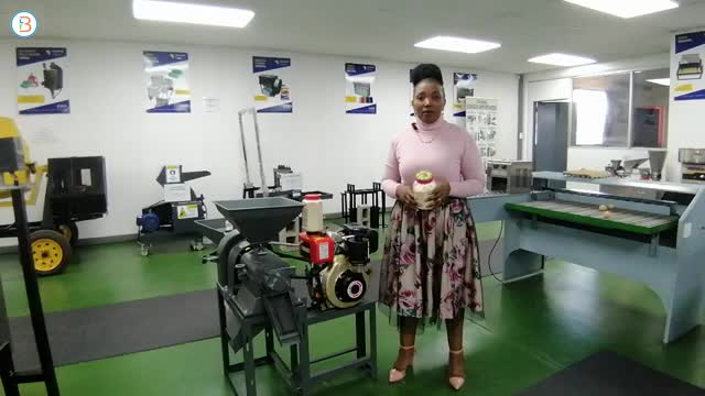 Maize grinder machine