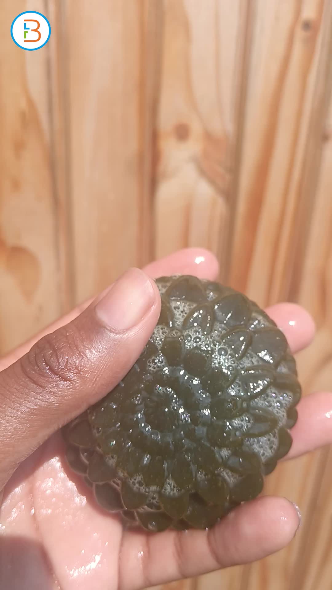 Neem and Moringa soap