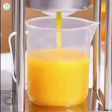 Manual Juicer